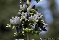  - Zum Vergrößern anklicken