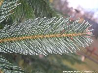  - Zum Vergrößern anklicken