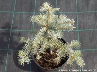  - Zum Vergrößern anklicken