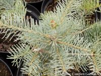  - Zum Vergrößern anklicken