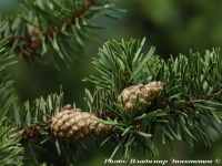  - Zum Vergrößern anklicken