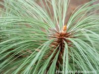  - Zum Vergrößern anklicken