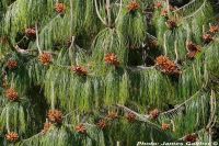  - Zum Vergrößern anklicken