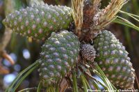  - Zum Vergrößern anklicken