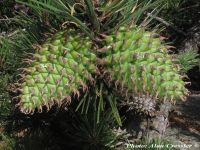  - Zum Vergrößern anklicken