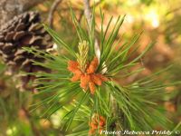  - Zum Vergrößern anklicken