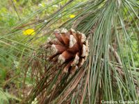  - Zum Vergrößern anklicken