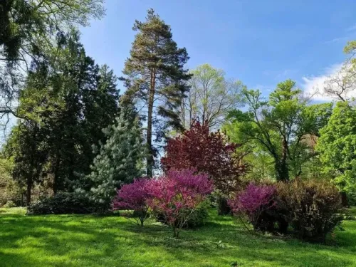 Kamon Arboretum